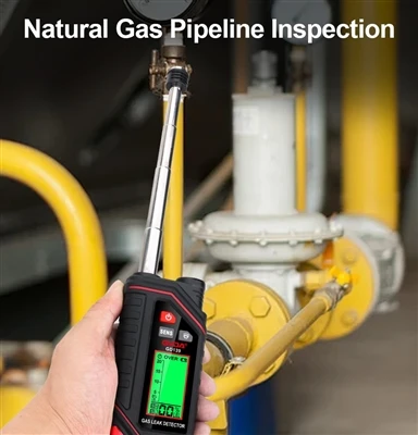Una introducció a la selecció de detectors de gas per a diferents entorns